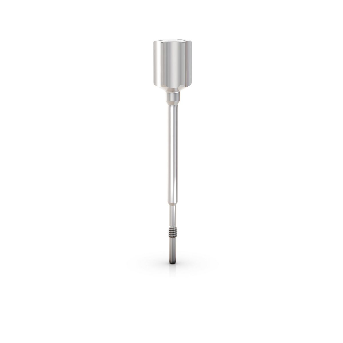 Long Rem. F.Abutments W.Internat Threads