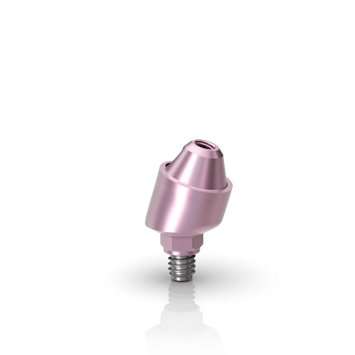 HS Mini Conical Abutment 17D 2.5