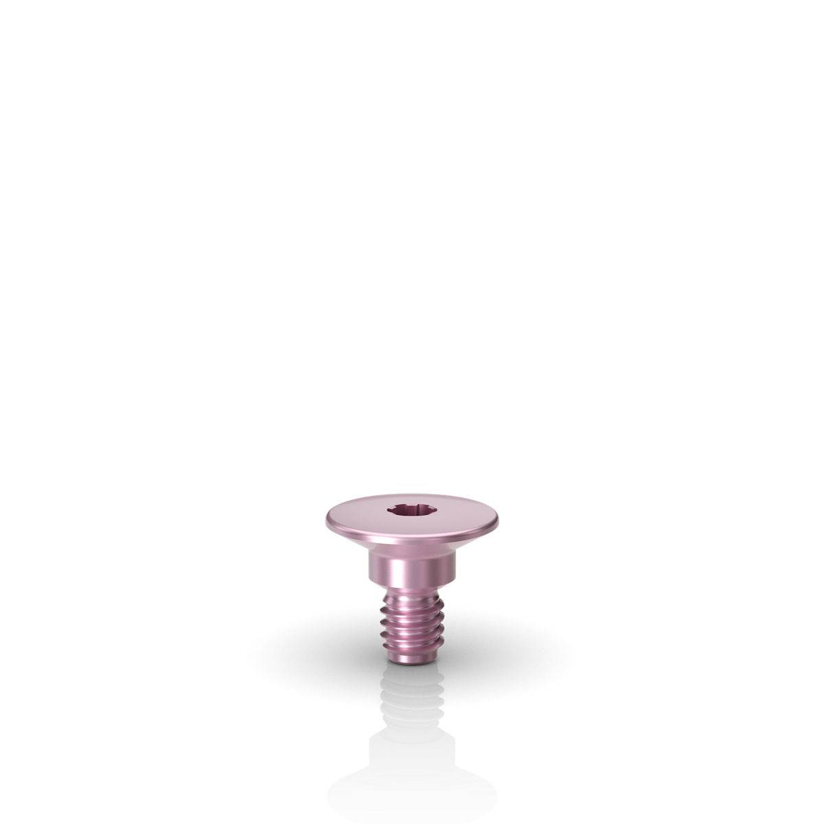 HS Cover Screw
